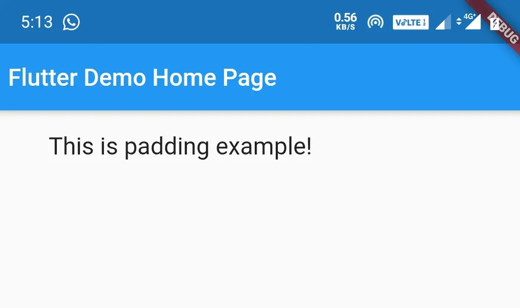 flutter padding widget edgeinsets only example