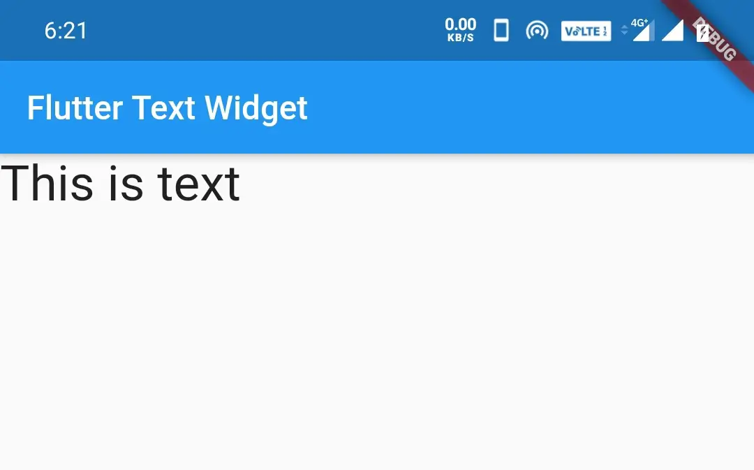 flutter text widget fontsize