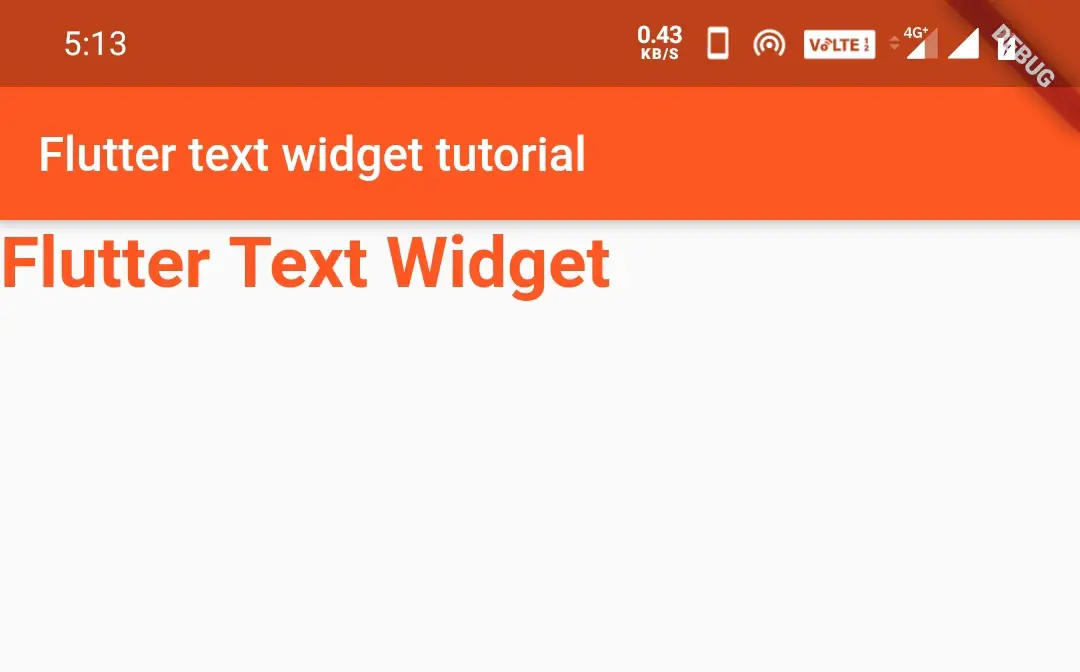 flutter text widget fontweight bold