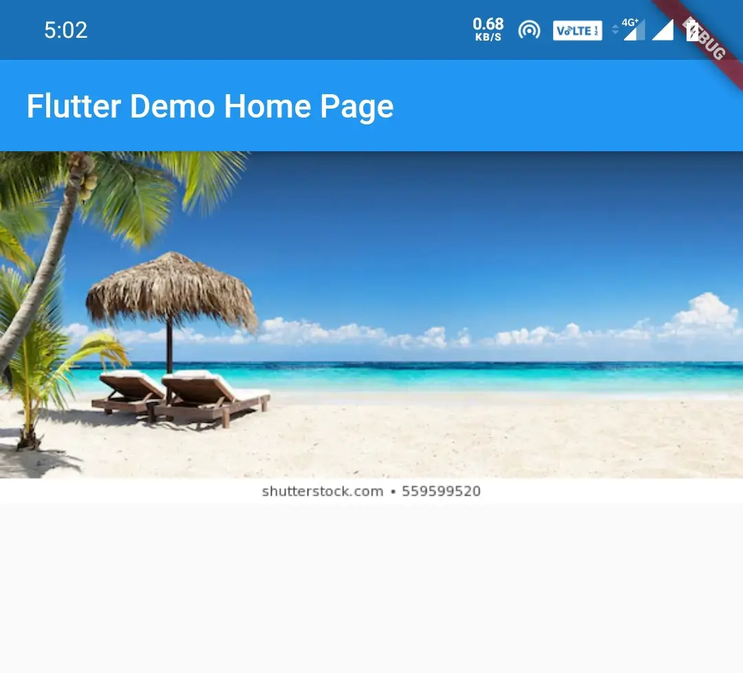 how to add images to flutter app output