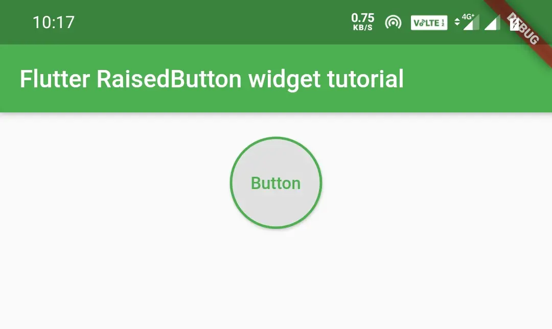 flutter raisedbutton widget circle border