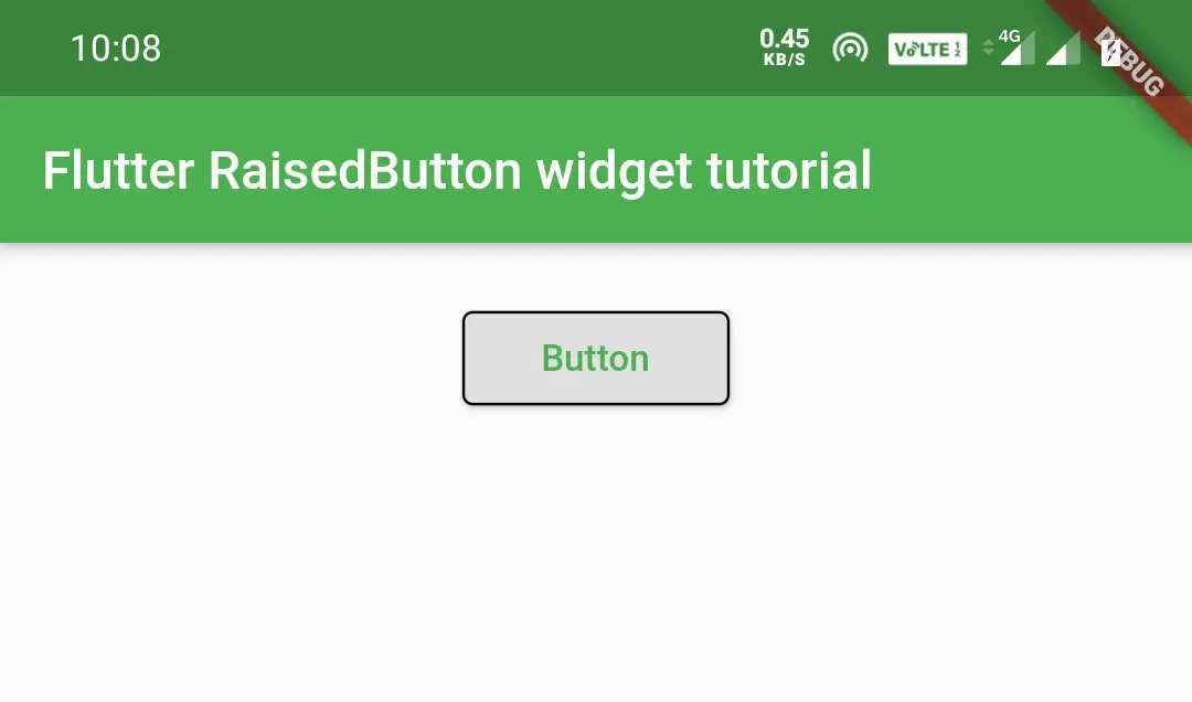 flutter raisedbutton widget outline input border