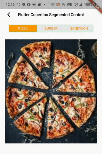 flutter cupertino segmented control example output