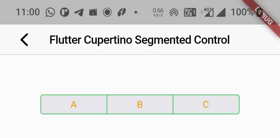 flutter cupertino segmented control padding